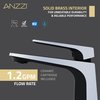 Anzzi 1-Handle Bathroom Faucet in Matte Black and Chrome L-AZ903MB-CH